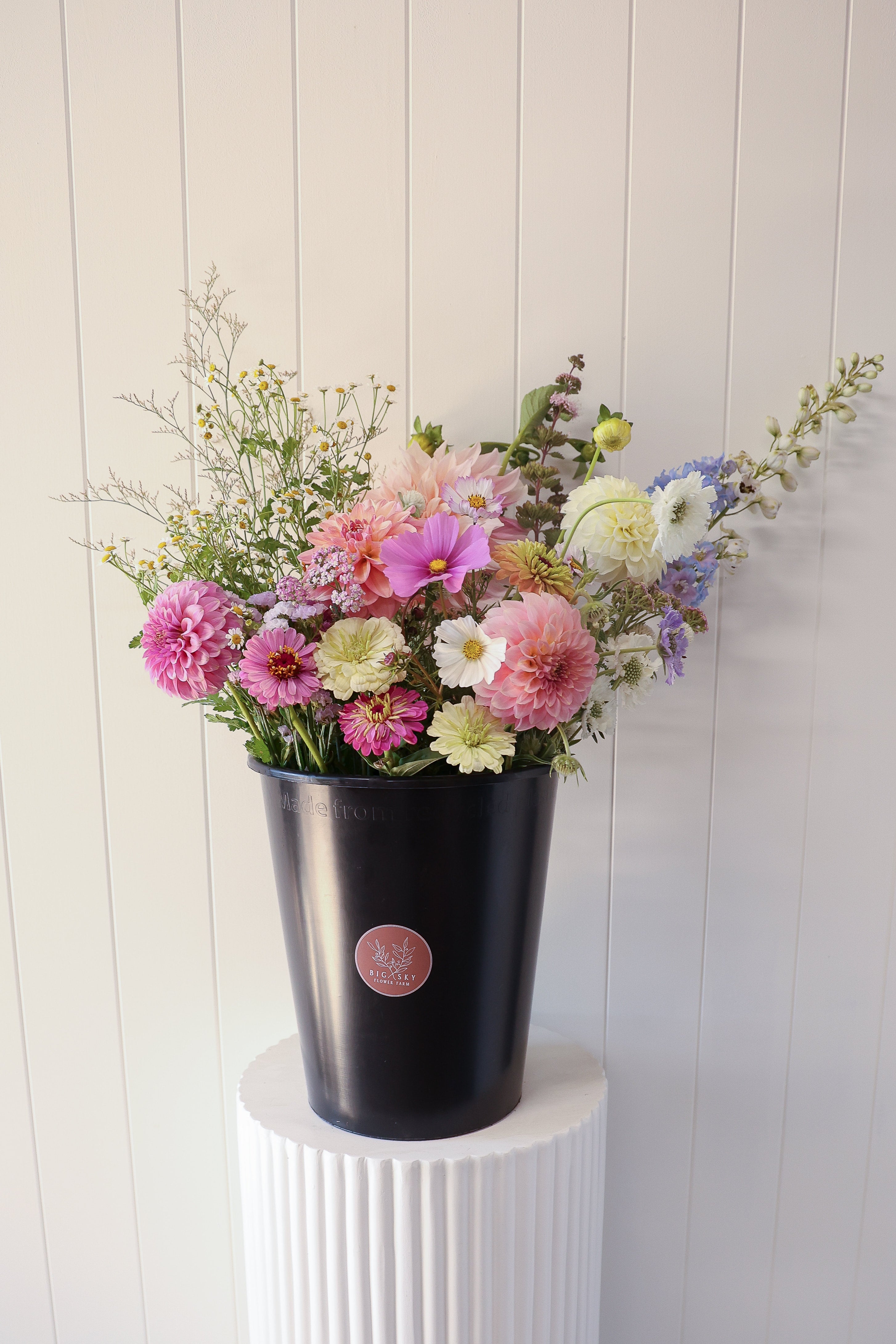Mixed Bloom Buckets - Pre-order for up until 13 Apr 25 and then between ...